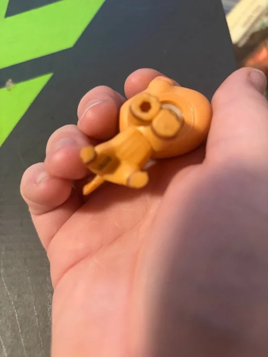 Ferret lps - Picture 2 of 4